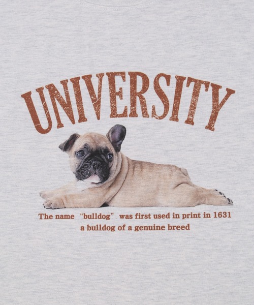 WC（ダブル シー）の「PUGプリントTシャツ（Tシャツ/カットソー・レディース・グレー/オートミール/ネイビー・FREE）」の15枚目の写真