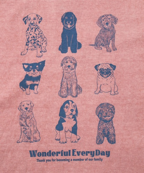 Good On（グッドオン）の「Good On/グッドオン　WONDERFUL EVERY DAY S/S TEE（Tシャツ/カットソー・メンズ・ホワイト/コーラルピンク・LARGE/X-LARGE/MEDIUM）」の5枚目の写真