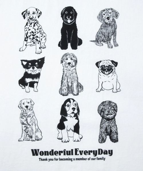 Good On（グッドオン）の「Good On/グッドオン　WONDERFUL EVERY DAY S/S TEE（Tシャツ/カットソー・メンズ・ホワイト/コーラルピンク・LARGE/X-LARGE/MEDIUM）」の11枚目の写真