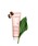 CLARINS�i�N�������X�j�́u�W�F���g�� �t�H�[�~���O �N�����U�[ N�i�N�����W���O�j�v�b�G�L�X�g�� �R���t�H�[�g
