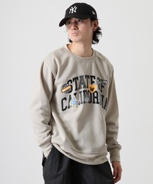 Fleece-lined print sweatshirt / 裏起毛プリントトレーナー unisex