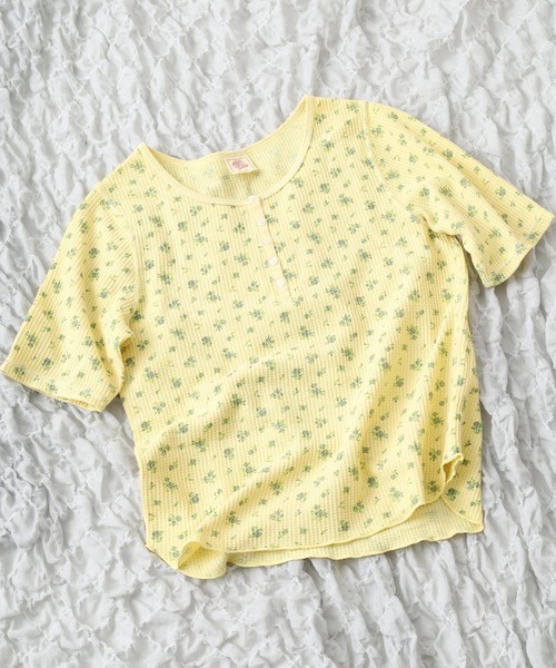 JEMORGAN(ジェーイーモーガン)の「JEMORGAN ワッフル花柄ピグメント加工H/Sヘンリー(パック) 半袖(Tシャツ/カットソー・レディース・グリーン/イエロー/ブルー/グレー・F)」の4枚目の写真