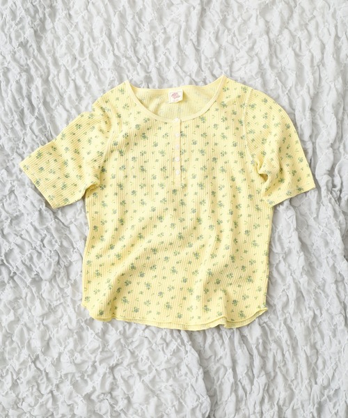 JEMORGAN(ジェーイーモーガン)の「JEMORGAN ワッフル花柄ピグメント加工H/Sヘンリー(パック) 半袖(Tシャツ/カットソー・レディース・グリーン/イエロー/ブルー/グレー・F)」の10枚目の写真