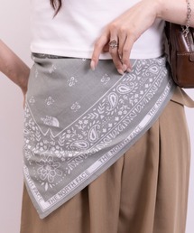 THE NORTH FACE（ザノースフェイス）の「THE NORTH FACE(ザ・ノースフェイス)/BANDANA_PAISLEY_80'S/PINE CONE（バンダナ/スカーフ）」