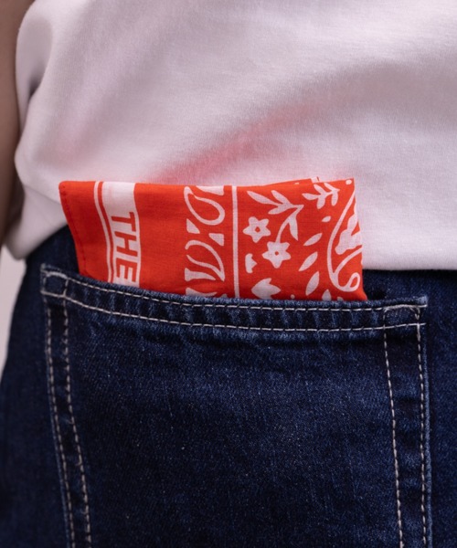 THE NORTH FACE(ザノースフェイス)の「THE NORTH FACE(ザ・ノースフェイス)/BANDANA_PAISLEY_80'S/PINE CONE(バンダナ/スカーフ・レディース・ネイビー/ライトブルー/ライトグリーン/カーキ/グリーン/ピンク/ダークブラウン・FREE)」の19枚目の写真
