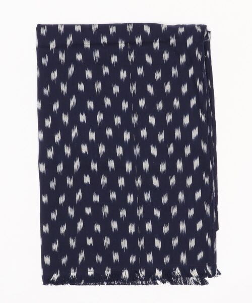 51d ハオルチア 多肉植物 実生水晶燈錦糊斑親木 自家繁殖 観葉植物