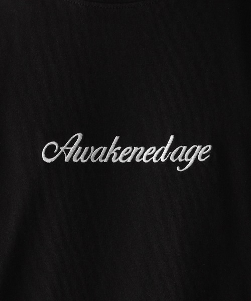 RAGEBLUE（レイジブルー）の「バックフォトプリント/天竺コットン/ビッグシルエットTシャツ2（Tシャツ/カットソー・メンズ・ホワイト/グレー/ブルー/ブラック・LARGE/MEDIUM/SMALL）」の6枚目の写真