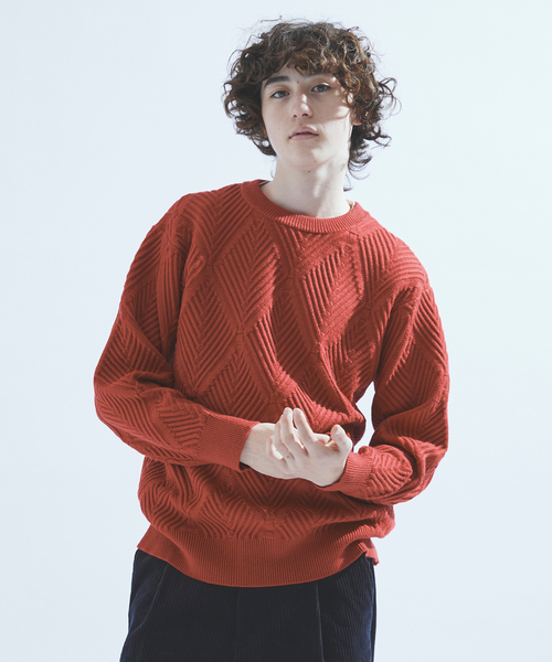 417 EDIFICE（フォーワンセブンエディフィス）の「ダイヤジャガード クルーネックニット（ニット/セーター・メンズ・ホワイト/ブラック/レッド/グリーン/ベージュ/ブルー系その他・MEDIUM/LARGE）」の20枚目の写真