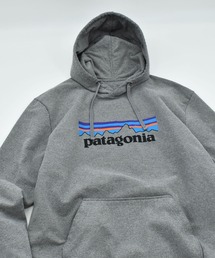 【ヴィンテージ古着】patagonia アップライザル ロゴプリント フーディ