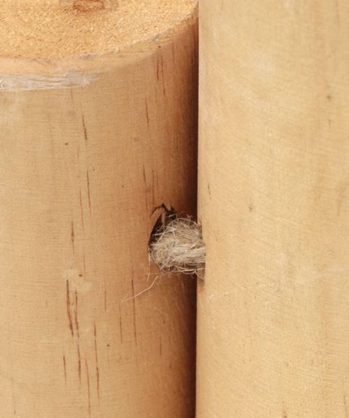 studio CLIP（スタディオクリップ）の「丸太脚隠し [CHRISTMAS 2025]（インテリア雑貨・レディース・ナチュラル/ブラウン・FREE）」の4枚目の写真