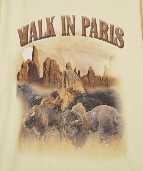 styles（スタイルス）の「WALK IN PARIS LE TSHIRT YELLOWSTON（Tシャツ/カットソー・メンズ・ベージュ・M）」の6枚目の写真