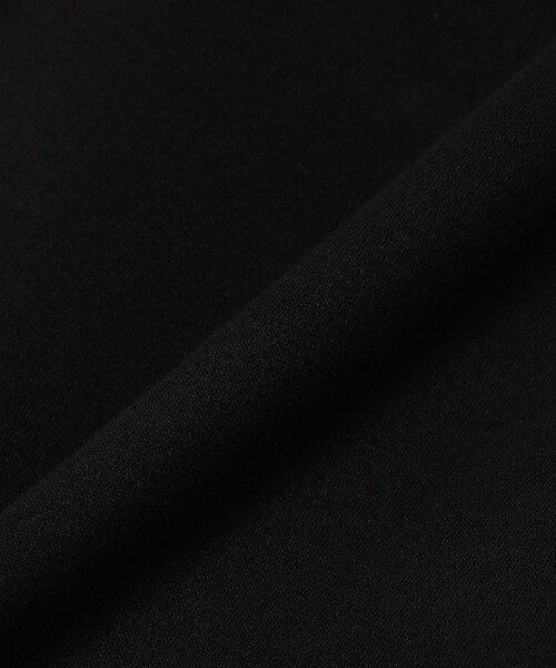 ARC'TERYX(アークテリクス)の「ARC’TERYX / Emblem Fleece Crew(スウェット・メンズ・ブラック・X-LARGE/LARGE/MEDIUM/SMALL)」の8枚目の写真
