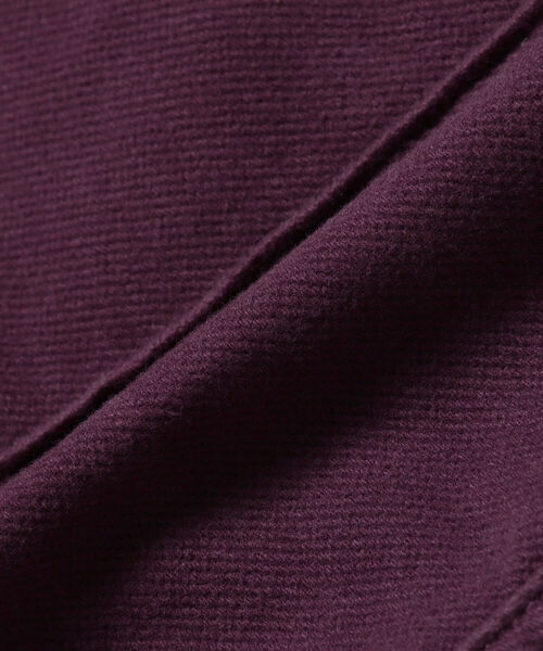 Ray BEAMS（レイビームス）の「RED CARD TOKYO × Ray BEAMS / 別注 Grape Brushed デニムパンツ（デニムパンツ・レディース・パープル/ネイビー・23/24/25/26/22）」の22枚目の写真