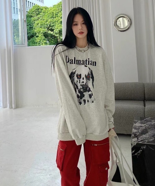 Vipoa(ヴィポア)の「OVERSIZE DOG GRAPHIC SWEAT(スウェット・レディース・ライトグレー・FREE)」の2枚目の写真