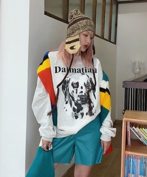 Vipoa(ヴィポア)の「OVERSIZE DOG GRAPHIC SWEAT(スウェット・レディース・ライトグレー・FREE)」の7枚目の写真
