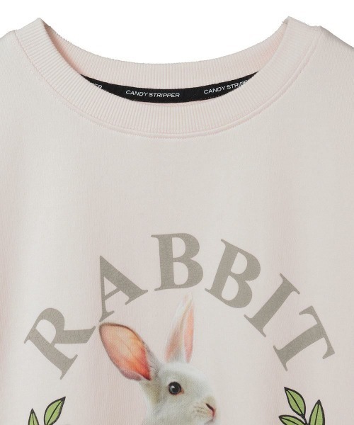 Candy Stripper(キャンディストリッパー)の「RABBIT UNIVERSITY SWEAT ワンピース(スウェット・レディース・ピンク/ネイビー/レッド/オフホワイト・FREE)」の6枚目の写真