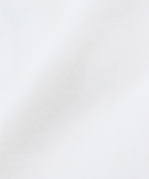 Spick & Span（スピックアンドスパン）の「BLEU FORET / ブルーフォレ SOLID COLORS VELVET COTTON SOX（ソックス/靴下・レディース・ホワイト/レッド/チャコールグレー・FREE）」の8枚目の写真