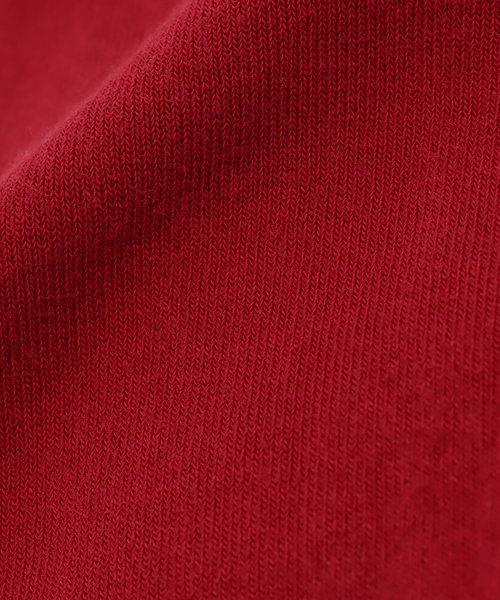 Spick & Span（スピックアンドスパン）の「BLEU FORET / ブルーフォレ SOLID COLORS VELVET COTTON SOX（ソックス/靴下・レディース・ホワイト/レッド/チャコールグレー・FREE）」の9枚目の写真