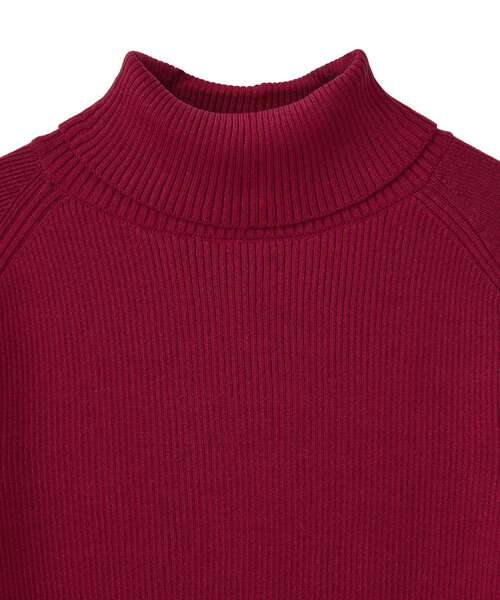 earth music&ecology(アースミュージックアンドエコロジー)の「レンチング(TM)エコヴェロ(TM)(リブタートル)(ニット/セーター・レディース・レッド/ブラウン/ブラック/アイボリー/グレー/その他7・S/M)」の9枚目の写真