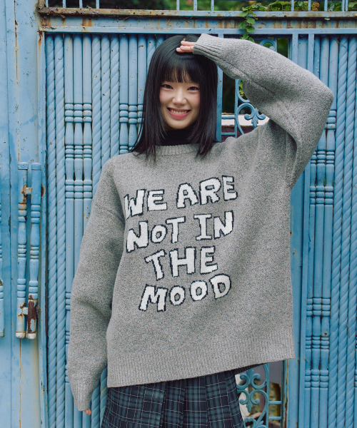 LMR（エルエムアール）の「レタリングジャガードプルオーバーニット GREY（ニット/セーター・レディース・グレー・M/L）」の15枚目の写真