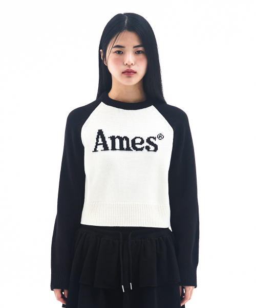 AMESWORLDWIDE(アメスワールドワイド)の「BASIC RAGLAN PULLOVER KNIT IVORY(ニット/セーター・メンズ・その他・MEDIUM/LARGE/SMALL)」の2枚目の写真