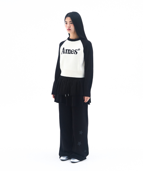 AMESWORLDWIDE(アメスワールドワイド)の「BASIC RAGLAN PULLOVER KNIT IVORY(ニット/セーター・メンズ・その他・MEDIUM/LARGE/SMALL)」の6枚目の写真