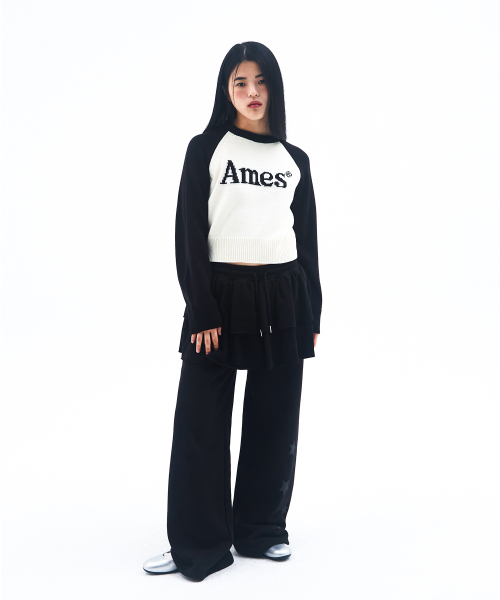 AMESWORLDWIDE(アメスワールドワイド)の「BASIC RAGLAN PULLOVER KNIT IVORY(ニット/セーター・メンズ・その他・MEDIUM/LARGE/SMALL)」の7枚目の写真
