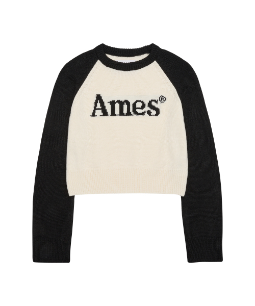 AMESWORLDWIDE(アメスワールドワイド)の「BASIC RAGLAN PULLOVER KNIT IVORY(ニット/セーター・メンズ・その他・MEDIUM/LARGE/SMALL)」の10枚目の写真