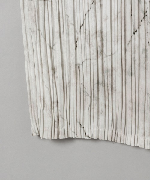 JEANASIS（ジーナシス）の「ニュアンスガラプリントプリーツパンツ/946199（その他パンツ・レディース・ベージュ系その他/グレー系その他・FREE）」の14枚目の写真