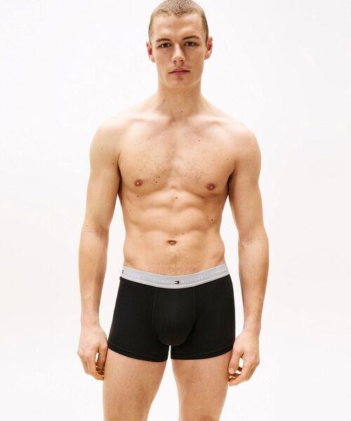 TOMMY HILFIGER（トミーヒルフィガー）の「ウエストバンドトランクス3P（トランクス・メンズ・マルチ/ダークグレー/その他・LARGE/MEDIUM）」の13枚目の写真