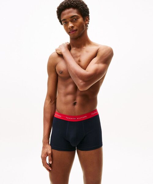 TOMMY HILFIGER（トミーヒルフィガー）の「ウエストバンドトランクス3P（トランクス・メンズ・マルチ/ダークグレー/その他・LARGE/MEDIUM）」の18枚目の写真