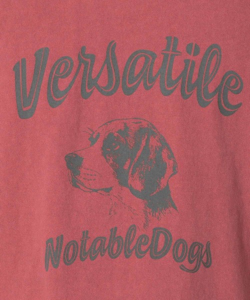 LAKOLE（ラコレ）の「ピグメントアニマル半袖T / 326023（Tシャツ/カットソー・メンズ・チャコール/ネイビー/レッド/グレー・MEDIUM/LARGE）」の20枚目の写真