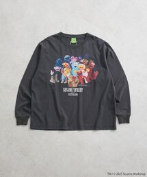 FRUIT OF THE LOOM | セサミストリートミーツフルーツオブザルーム ロンTEE(Tシャツ/カットソー)