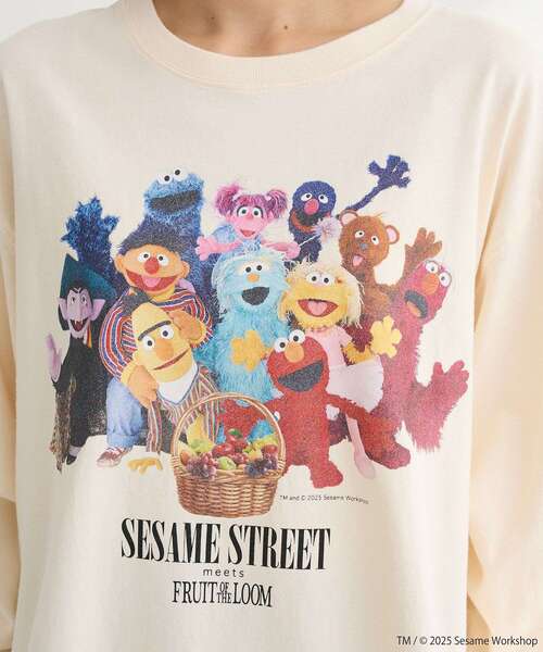 FRUIT OF THE LOOM（フルーツオブザルーム）の「セサミストリートミーツフルーツオブザルーム ロンTEE（Tシャツ/カットソー・レディース・ピンク/チャコールグレー/ホワイト系その他2・FREE）」の21枚目の写真