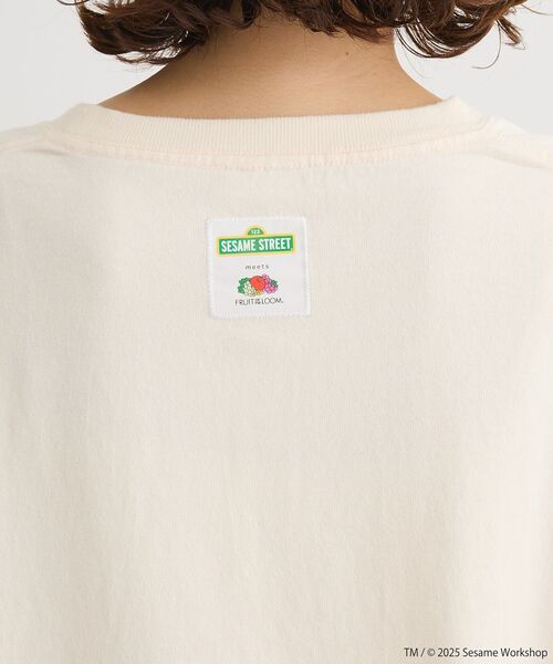 FRUIT OF THE LOOM（フルーツオブザルーム）の「セサミストリートミーツフルーツオブザルーム ロンTEE（Tシャツ/カットソー・レディース・ピンク/チャコールグレー/ホワイト系その他2・FREE）」の17枚目の写真