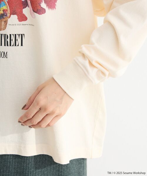 FRUIT OF THE LOOM（フルーツオブザルーム）の「セサミストリートミーツフルーツオブザルーム ロンTEE（Tシャツ/カットソー・レディース・ピンク/チャコールグレー/ホワイト系その他2・FREE）」の19枚目の写真