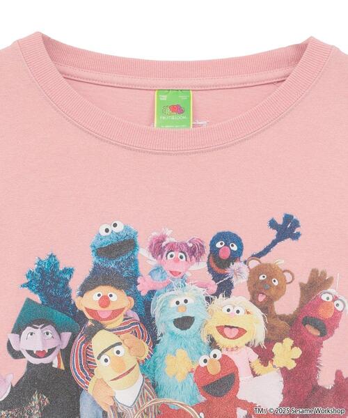 FRUIT OF THE LOOM（フルーツオブザルーム）の「セサミストリートミーツフルーツオブザルーム ロンTEE（Tシャツ/カットソー・レディース・ピンク/チャコールグレー/ホワイト系その他2・FREE）」の10枚目の写真