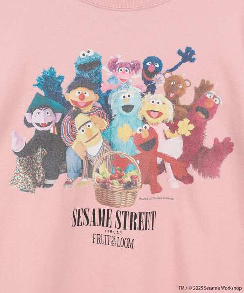 FRUIT OF THE LOOM（フルーツオブザルーム）の「セサミストリートミーツフルーツオブザルーム ロンTEE（Tシャツ/カットソー・レディース・ピンク/チャコールグレー/ホワイト系その他2・FREE）」の9枚目の写真