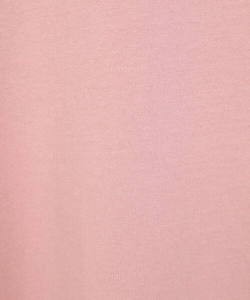 FRUIT OF THE LOOM（フルーツオブザルーム）の「セサミストリートミーツフルーツオブザルーム ロンTEE（Tシャツ/カットソー・レディース・ピンク/チャコールグレー/ホワイト系その他2・FREE）」の11枚目の写真