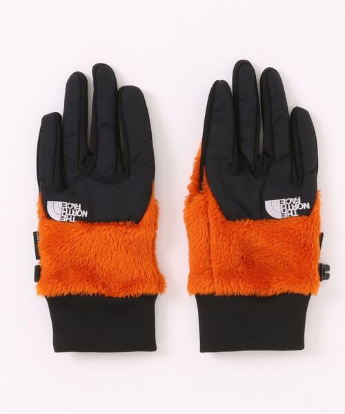 THE NORTH FACE/ザ・ノース・フェイス 手袋 デナリイーチップグローブ