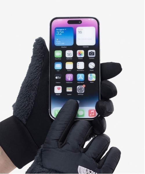 THE NORTH FACE（ザノースフェイス）の「THE NORTH FACE/ザ・ノース・フェイス 手袋 デナリイーチップグローブ 防寒 NN62522（手袋・メンズ・ネイビー/ブラック/ダークベージュ/ダークオレンジ・L/M/S）」の6枚目の写真