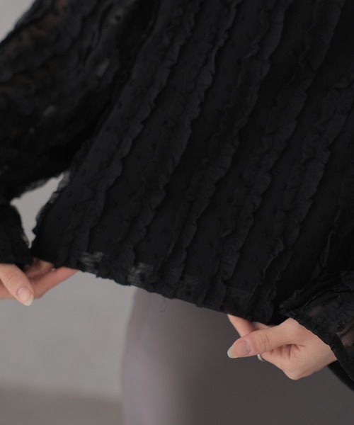 Lace Ladies(レースレディース)の「フリル ドット シアー 長袖 プルオーバー(シャツ/ブラウス・レディース・アイボリー/ブラック・FREE)」の15枚目の写真