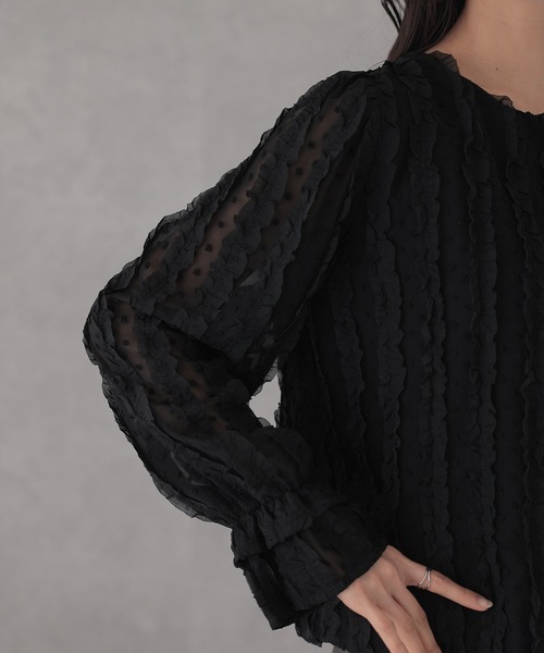 Lace Ladies(レースレディース)の「フリル ドット シアー 長袖 プルオーバー(シャツ/ブラウス・レディース・アイボリー/ブラック・FREE)」の13枚目の写真