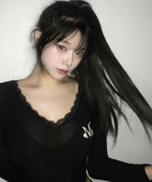 MUCENT(ムセント)の「サニアレースVネック長袖Tシャツ(6色)(Tシャツ/カットソー・レディース・グレー/ホワイト/ブラック/ネイビー/パープル/ピンク・FREE)」の20枚目の写真