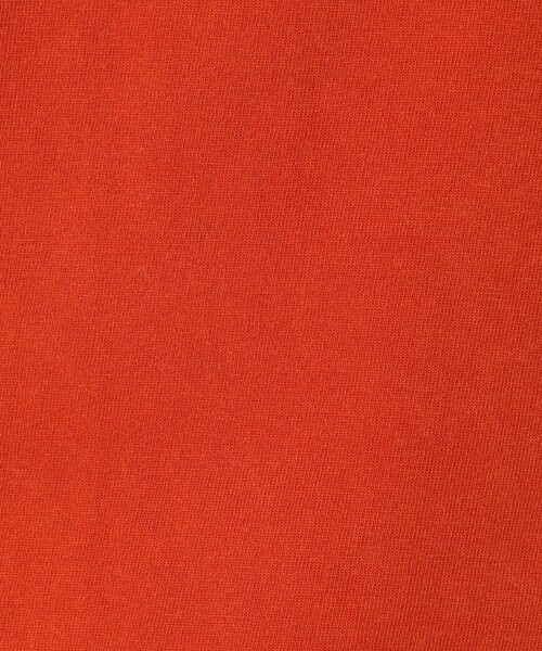 REMI RELIEF（レミレリーフ）の「【REMI RELIEF / レミレリーフ】LW加工T "RMC" / ロゴTシャツ（Tシャツ/カットソー・レディース・グレー/レッド/ネイビー/ブラック・フリー）」の12枚目の写真