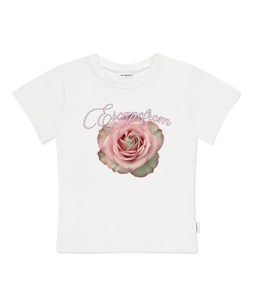 ESCAPEFROM（エスケープフロム）の「ピンクリアルローズプリントスリムフィット半袖Tシャツブラック（Tシャツ/カットソー・レディース・その他・MEDIUM/LARGE）」の3枚目の写真
