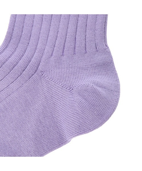 FRUIT OF THE LOOM（フルーツオブザルーム）の「FRUIT OF THE LOOM　Q リブカラー刺繍 ソックス（ソックス/靴下・レディース・A/B・FREE）」の8枚目の写真