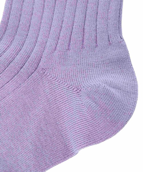FRUIT OF THE LOOM（フルーツオブザルーム）の「FRUIT OF THE LOOM　Q リブカラー刺繍 ソックス（ソックス/靴下・レディース・A/B・FREE）」の16枚目の写真