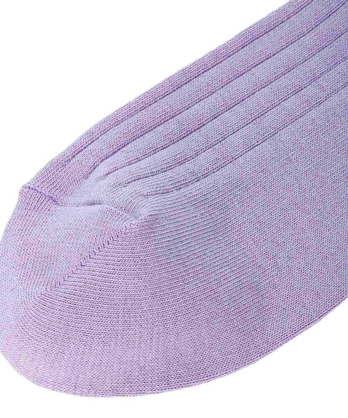 FRUIT OF THE LOOM（フルーツオブザルーム）の「FRUIT OF THE LOOM　Q リブカラー刺繍 ソックス（ソックス/靴下・レディース・A/B・FREE）」の17枚目の写真