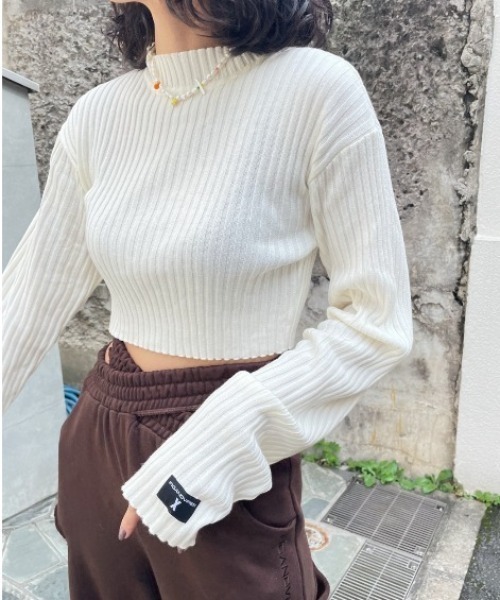 FIG&VIPER（フィグアンドバイパー）の「クロップドリブニットTOP（ニット/セーター・レディース・ホワイト/ブラック/グレー/ブルー・FREE）」の22枚目の写真